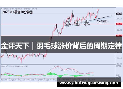 金评天下｜羽毛球涨价背后的周期定律